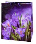 Antella Пакет подарочный бумажный 18х23х10см Фиолетовые цветы